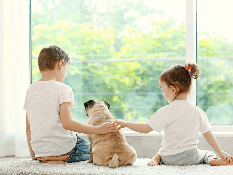 Back of Kids and Pug at Home